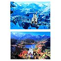 Neuschwanstein Castle in Winter and Summer, Bavaria, Germany - Set of 2 Postcards