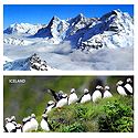Swiss Alps, Switzerland & Puffin Birds, Iceland - Set of 2 Postcards