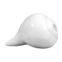 Blow Conch
