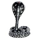 Snake of Shiva