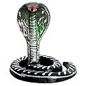 Snake of Shiva