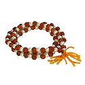 Japa Mala or Prayer Mala with 108 Rudraksha and White Beads