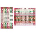 Dhakai Jamdani  Saree with Border and Pallu