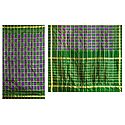 Ikkat Design on Green and Purple Pochampalli Silk Saree with Border and Pallu