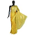Weaved Yellow Design All-Over on Yellow Cotton Dhakai Saree with Border and Pallu