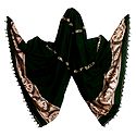 Green Orissa Cotton Stole with Weaved Light Pink Baluchari Konarak Wheel Design