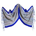 Check Design Woolen Stole with Dark Blue Border