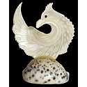 Shell Peacock