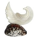 Mother of Pearl Pigeon on Cowrie
