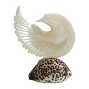 Mother of Pearl Pigeon on Cowrie