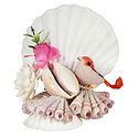 Shell Centerpiece