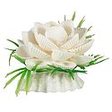 Shell Flower