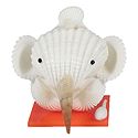 Shell Ganesha