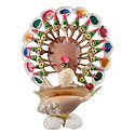 Shell Peacock