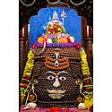 Rudraksha Shivalinga, Dehradun, Uttarakhand