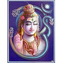 Shiva on Om
