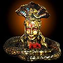 Golden Shivalinga, Dehradun, Uttarakhand