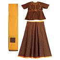 Yellow with Red Print on Black Cotton Lehenga Choli