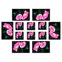 Set of 6 Dining Table Mats and Coasters with Flower  Print 