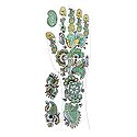 Green, Black with Golden Glitter Sticker Mehendi for Single Hand Decor
