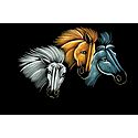 Wild Horses