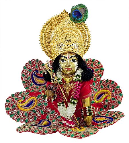 Bal Gopala in Gorgeous Dress with Gold Plated Ornaments