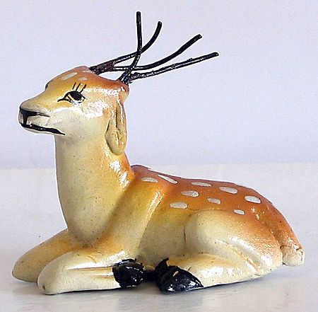 Deer