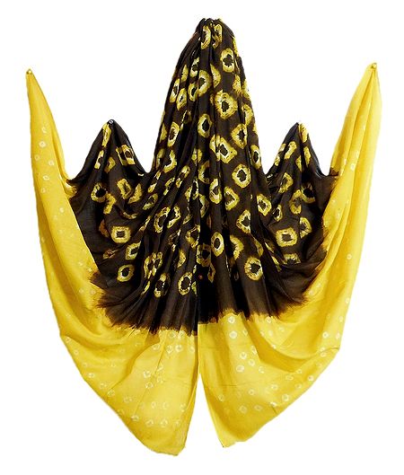 Brown with Yellow Bandhni Cotton Dupatta