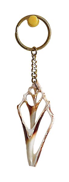 Shell Key Chain