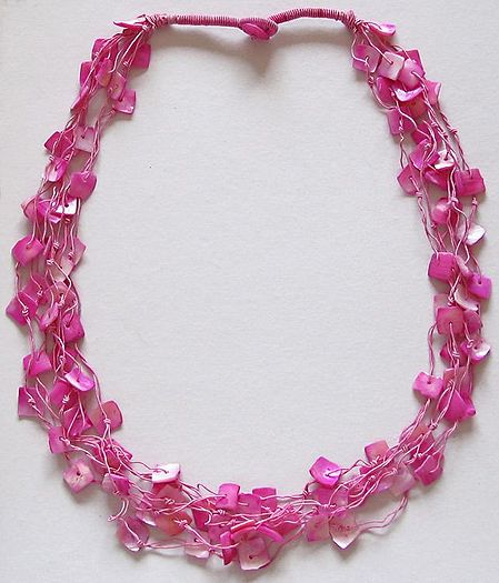 Trendy and Delicate