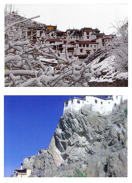 Rizong Monastery During Winter and Spituk Monastery, Ladakh - Set of 2 Postcards