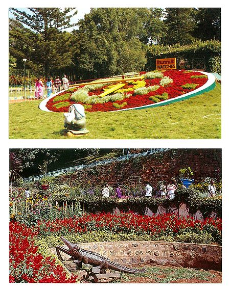 Floral Clock and Botanical Garden, Ooty - Set of 2 Postcards