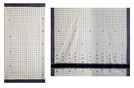 White Kerala Cotton Check Saree with All Over Black Boota