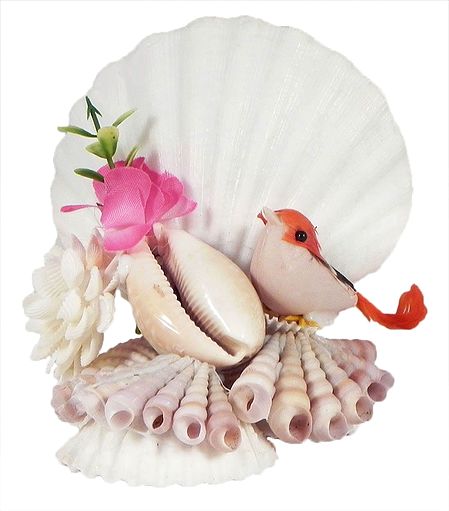Shell Centerpiece