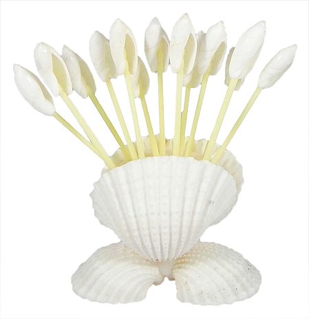 Toothpick Holder with Toothpicks