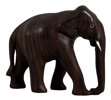Wooden Elephant