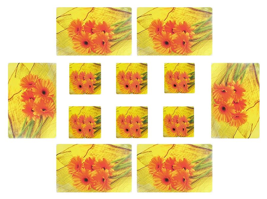 Six Plastic Dining Table Mats and Coasters 16.5 x 10.5 inches