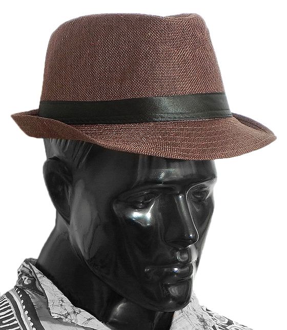 Brown Fedora Hat