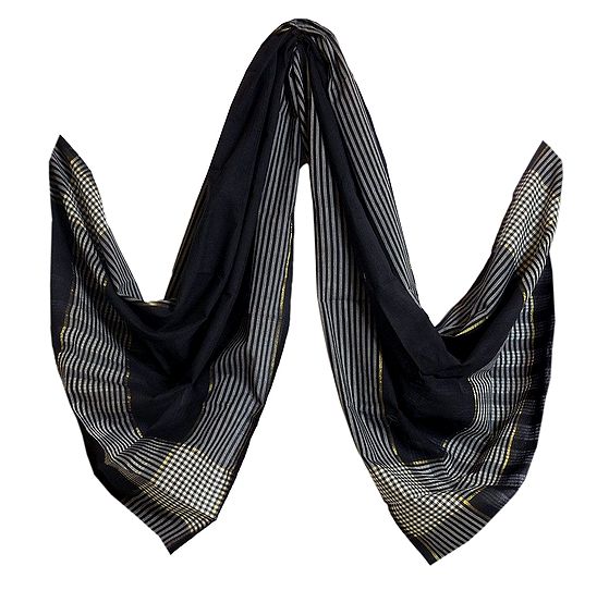 Fawn & Black Embroidered Cotton blend Dupatta main image 0