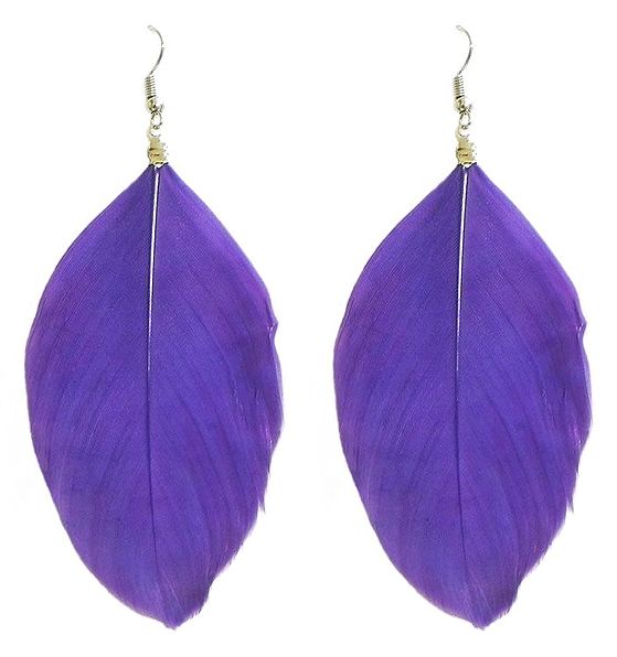 Purple Brown Feather Earrings