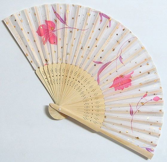 Simplicity Wall Hanging Fan Side 8 inches
