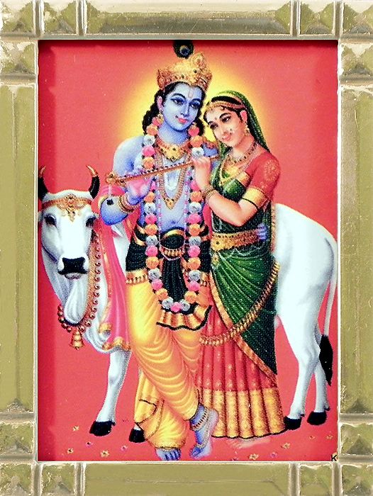 Radha Krishna with Cow Framed Picture