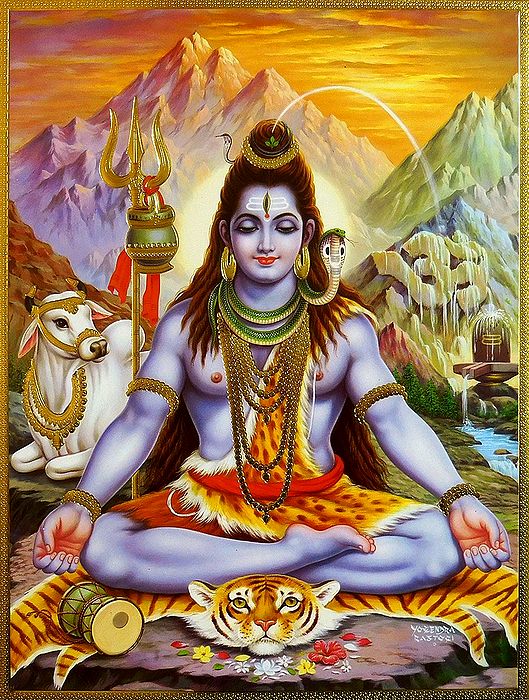 Buy Meditating Shiva Poster