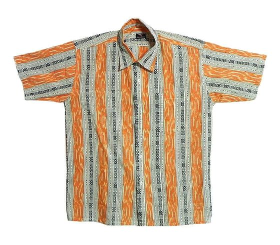 Rangriti Ikkat Shirt