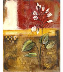 Bloom in the Morning