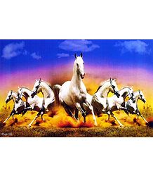 Galloping Horses