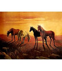 Graceful Horses - Poster