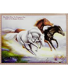 Wild Horse Race