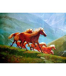 Wild Horses