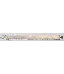 Sequined Elastic Belt